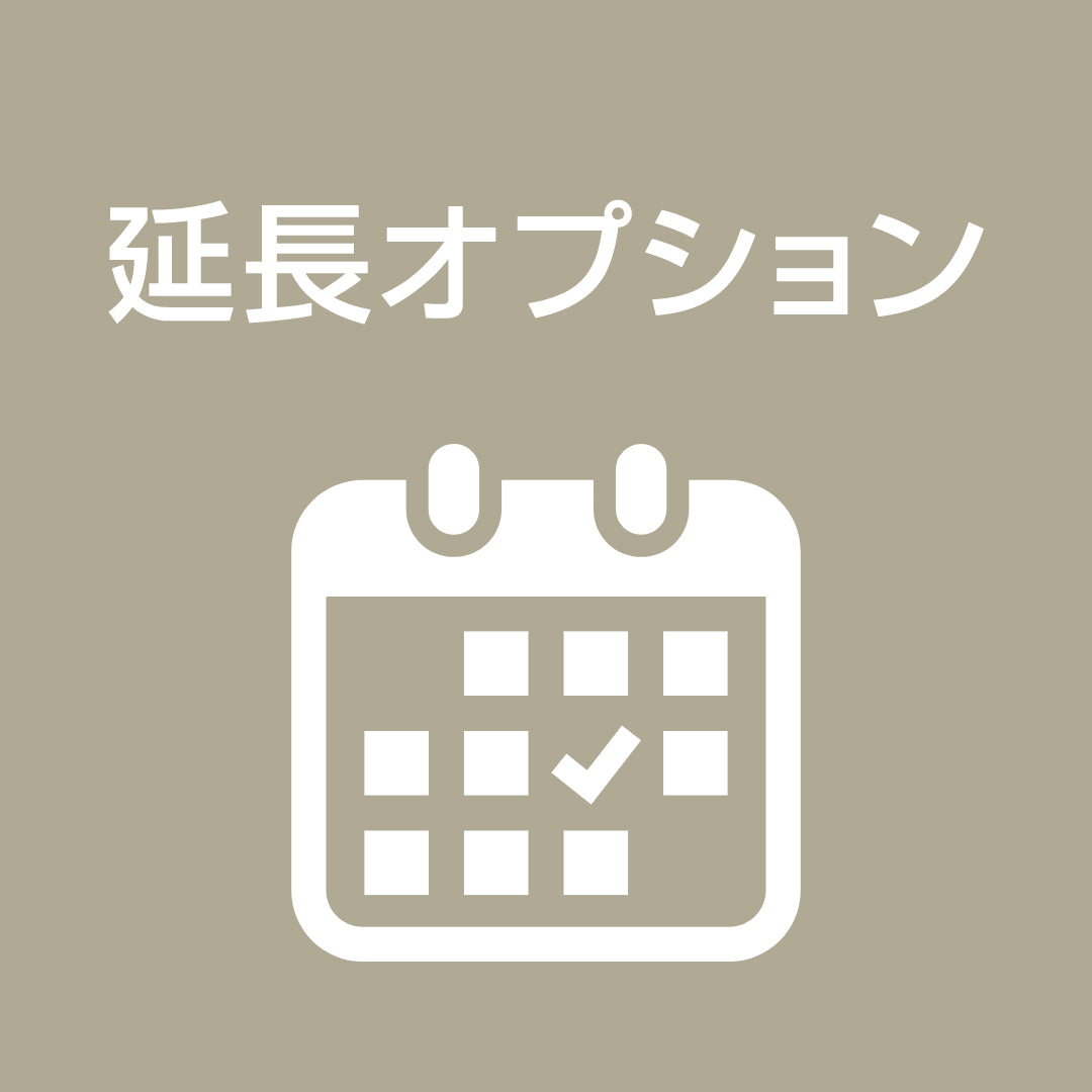 延長オプション（１日につき）